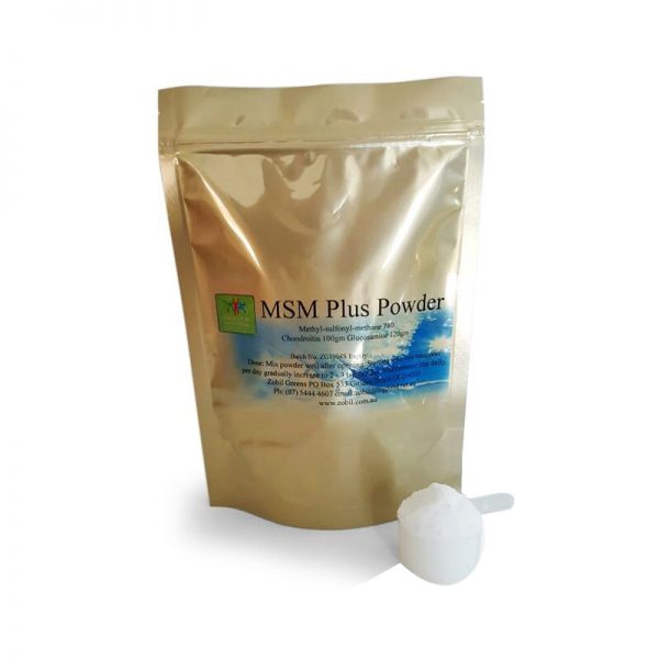 msm plus powder menthyl sulfonyl methane health within